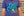 East Coast Squid Tee